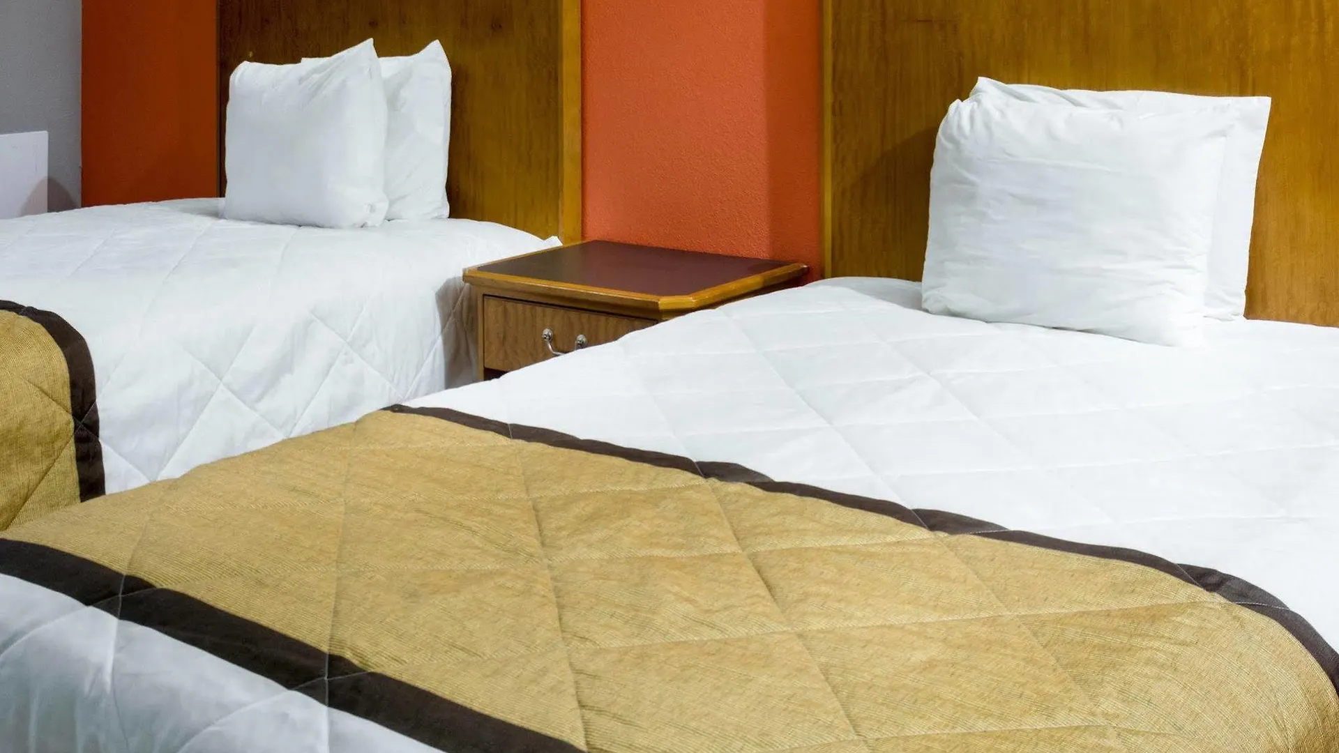 ** Hotel Econo Lodge Airport Norfolk United States